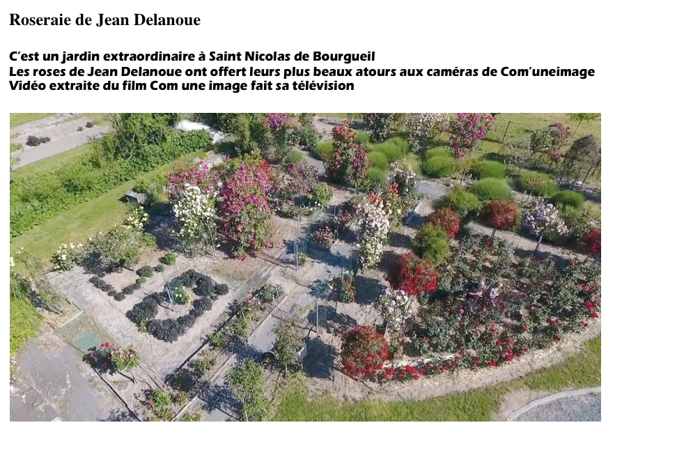 Roseraie de Jean Delanoue

C’est un jardin extraordinaire à Saint Nicolas de Bourgueil
Les roses de Jean Delanoue ont offert leurs plus beaux atours aux caméras de Com’uneimage
Vidéo extraite du film Com une image fait sa télévision

￼

 


https://www.youtube.com/watch?v=wZA0nRtdHCw